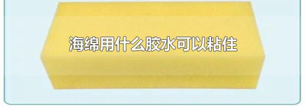 海绵用什么胶水可以粘住