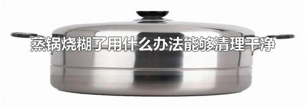 蒸锅烧糊了用什么办法能够清理干净