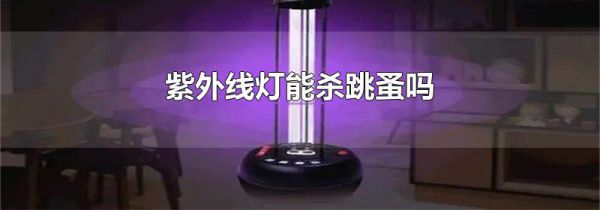 紫外线灯能杀跳蚤吗