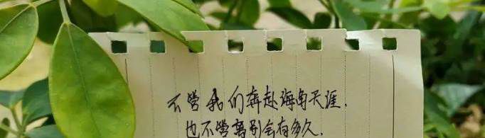 送朋友前程似锦的祝福语句有哪些？