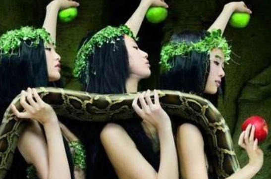 做梦梦到蛇是什么寓意