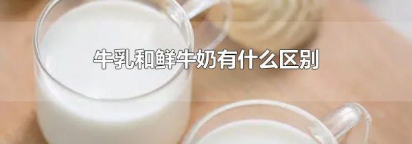 牛乳和鲜牛奶有什么区别