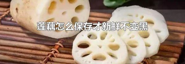 莲藕怎么保存才新鲜不变黑