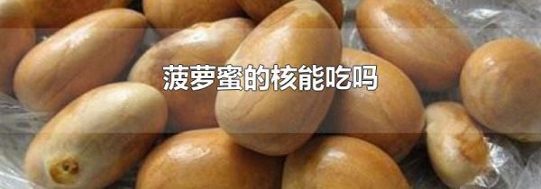 菠萝蜜的核能吃吗