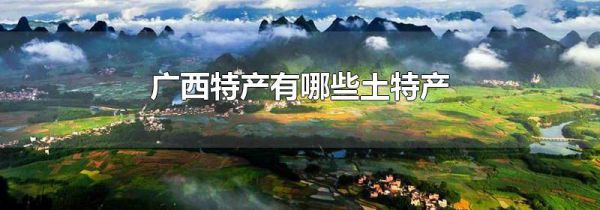 广西特产有哪些土特产