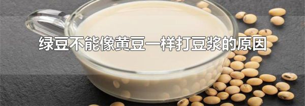 绿豆不能像黄豆一样打豆浆的原因