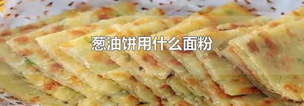 葱油饼用什么面粉