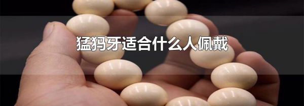 猛犸牙适合什么人佩戴