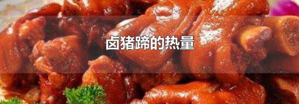 卤猪蹄的热量