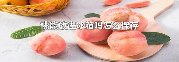 桃能放进冰箱吗怎么保存