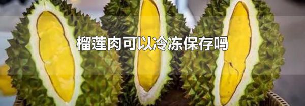 榴莲肉可以冷冻保存吗
