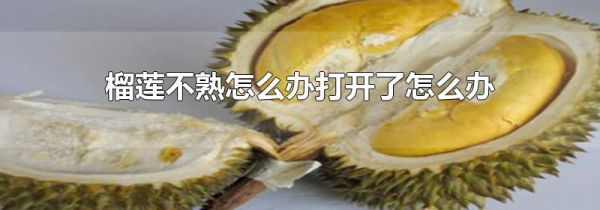 榴莲不熟怎么办打开了怎么办