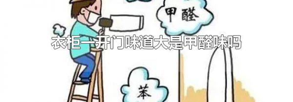 衣柜一开门味道大是甲醛味吗