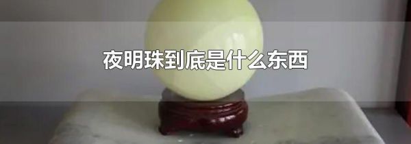 夜明珠到底是什么东西