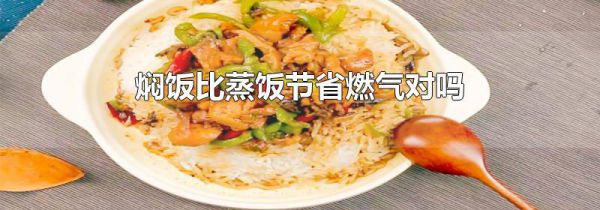 焖饭比蒸饭节省燃气对吗