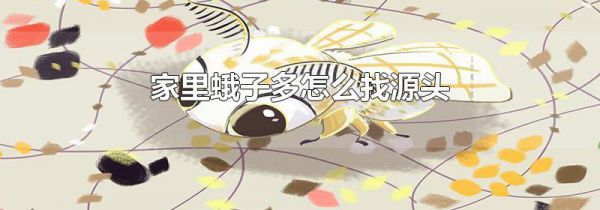 家里蛾子多怎么找源头