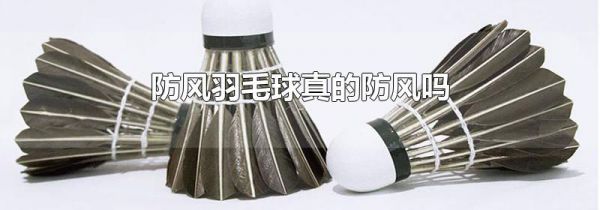 防风羽毛球真的防风吗