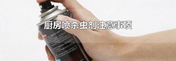 厨房喷杀虫剂注意事项