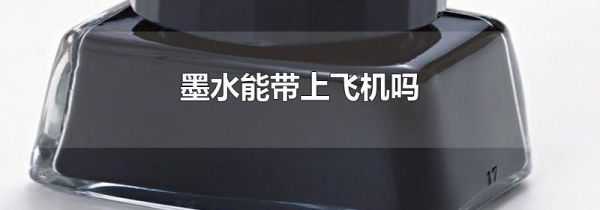 墨水能带上飞机吗