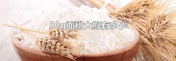 50g面粉大概有多少