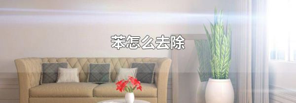 苯怎么去除