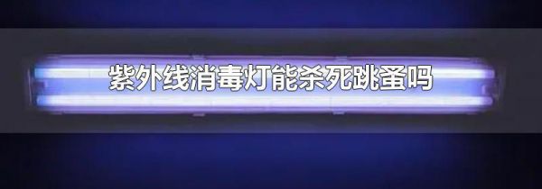紫外线消毒灯能杀死跳蚤吗