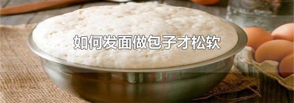 如何发面做包子才松软
