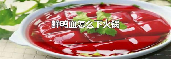 鲜鸭血怎么下火锅