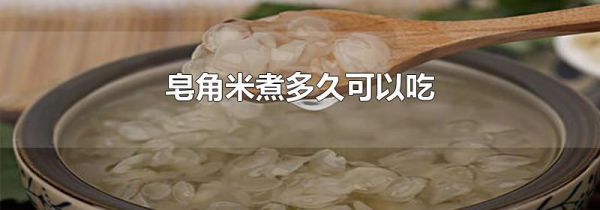皂角米煮多久可以吃