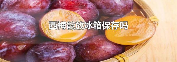 西梅能放冰箱保存吗