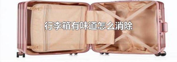 行李箱有味道怎么消除
