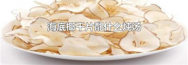 海底椰干片配什么炖汤