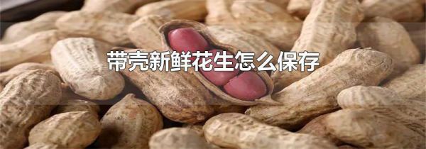 带壳新鲜花生怎么保存