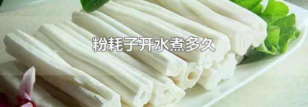 粉耗子开水煮多久