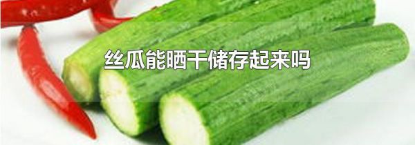丝瓜能晒干储存起来吗