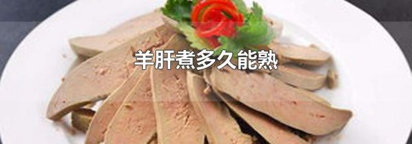 羊肝煮多久能熟