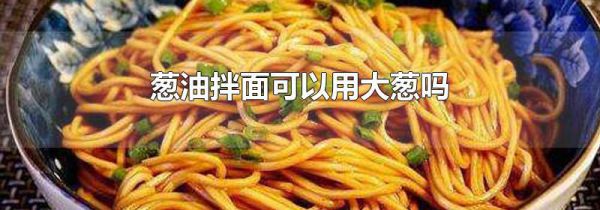 葱油拌面可以用大葱吗
