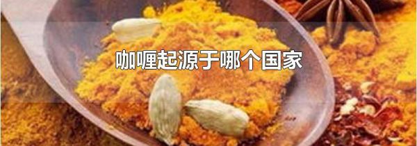 咖喱起源于哪个国家