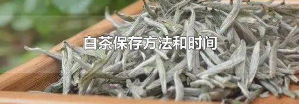 白茶保存方法和时间
