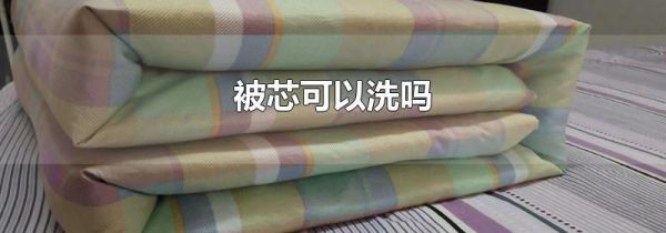 被芯可以洗吗