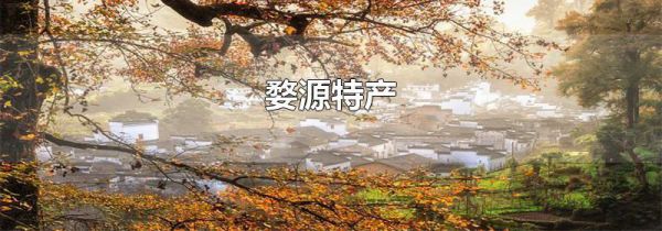 婺源特产