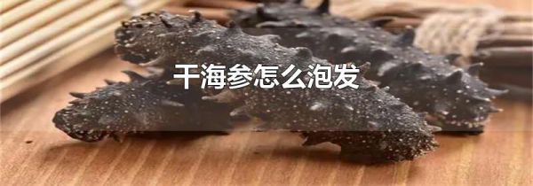 干海参怎么泡发