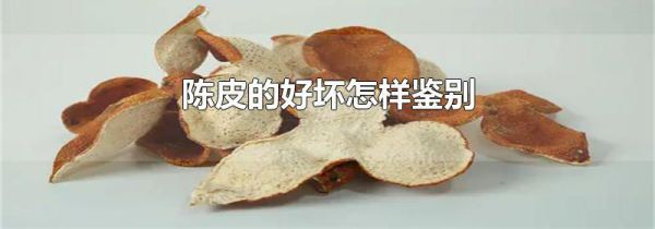 陈皮的好坏怎样鉴别