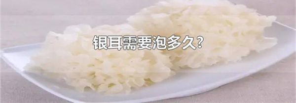 银耳需要泡多久?