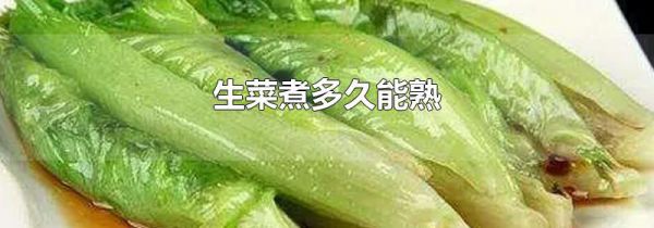 生菜煮多久能熟