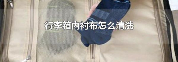 行李箱内衬布怎么清洗