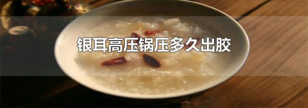 银耳高压锅压多久出胶