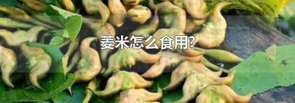 菱米怎么食用?