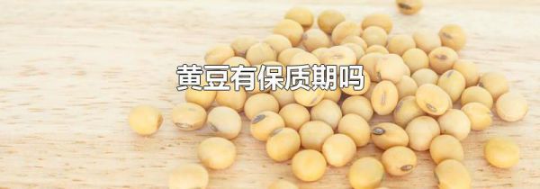 黄豆有保质期吗