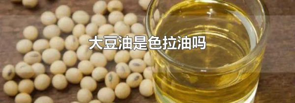 大豆油是色拉油吗